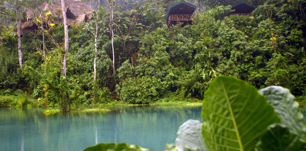 Rafiki Package Options