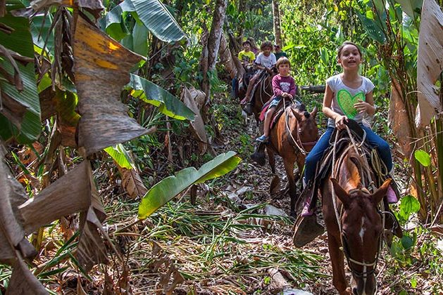 Horseback ride at Rafiki Safari Lodge