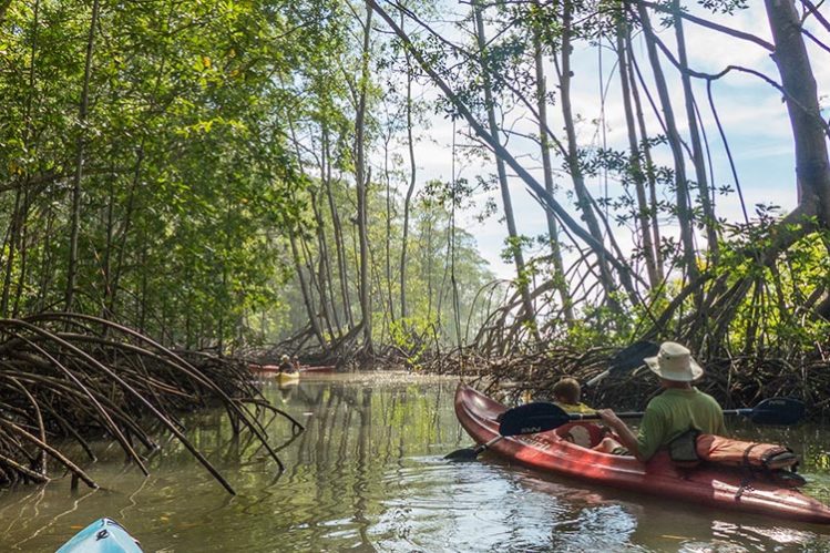 Kay trip Rafiki Costa Rica