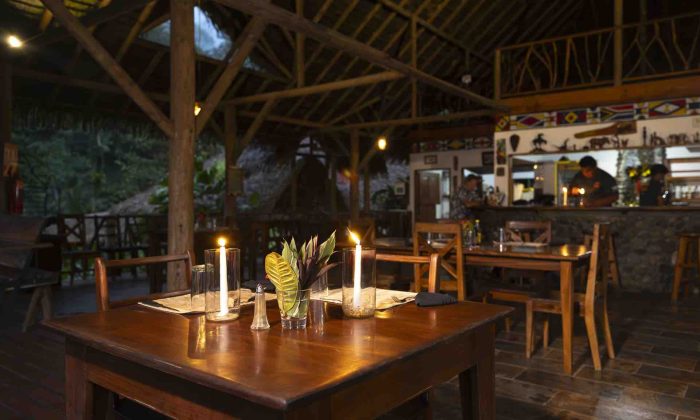 rafiki-property-and-food-web_1 rafiki-property-and-food-web_1