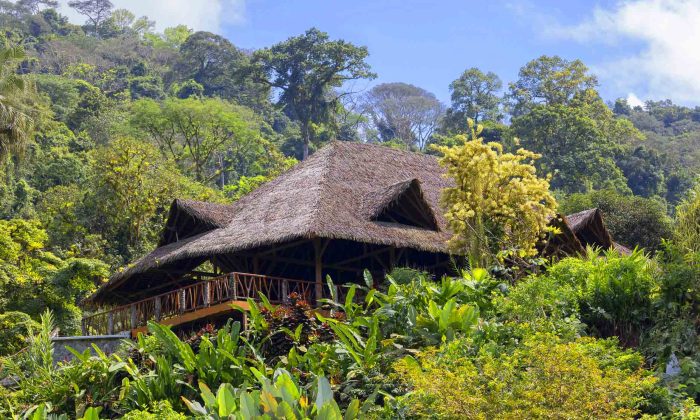 rafiki-property-and-food-web_14a rafiki-property-and-food-web_14a