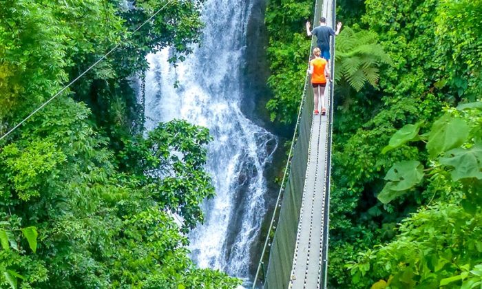 Hiking into the rainforest at Rafiki