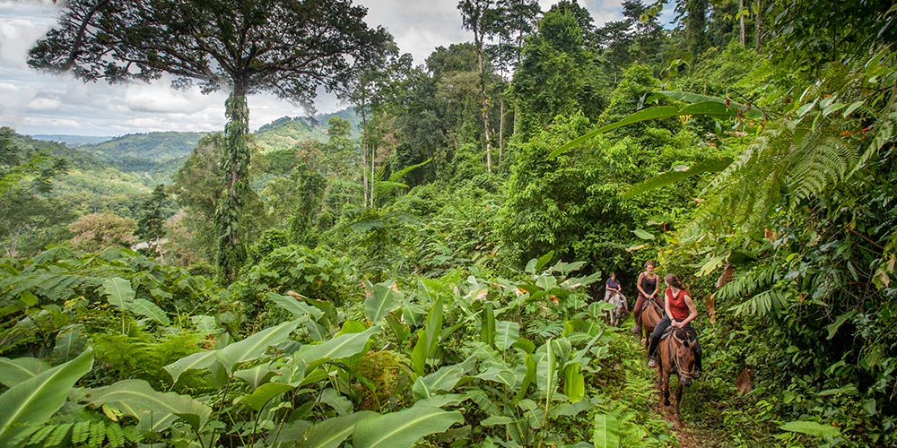 Horseback riding at Rafiki Safari Lodge
