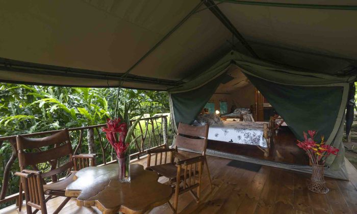 Tents 1 & 2 — Lakeview