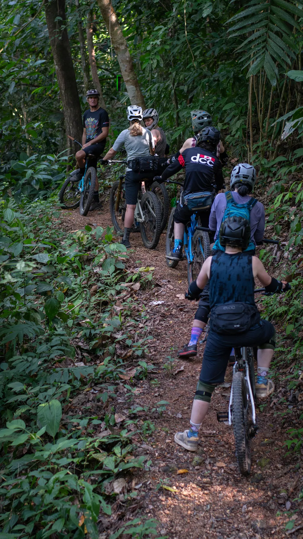 Riders climbing a jungle trail together