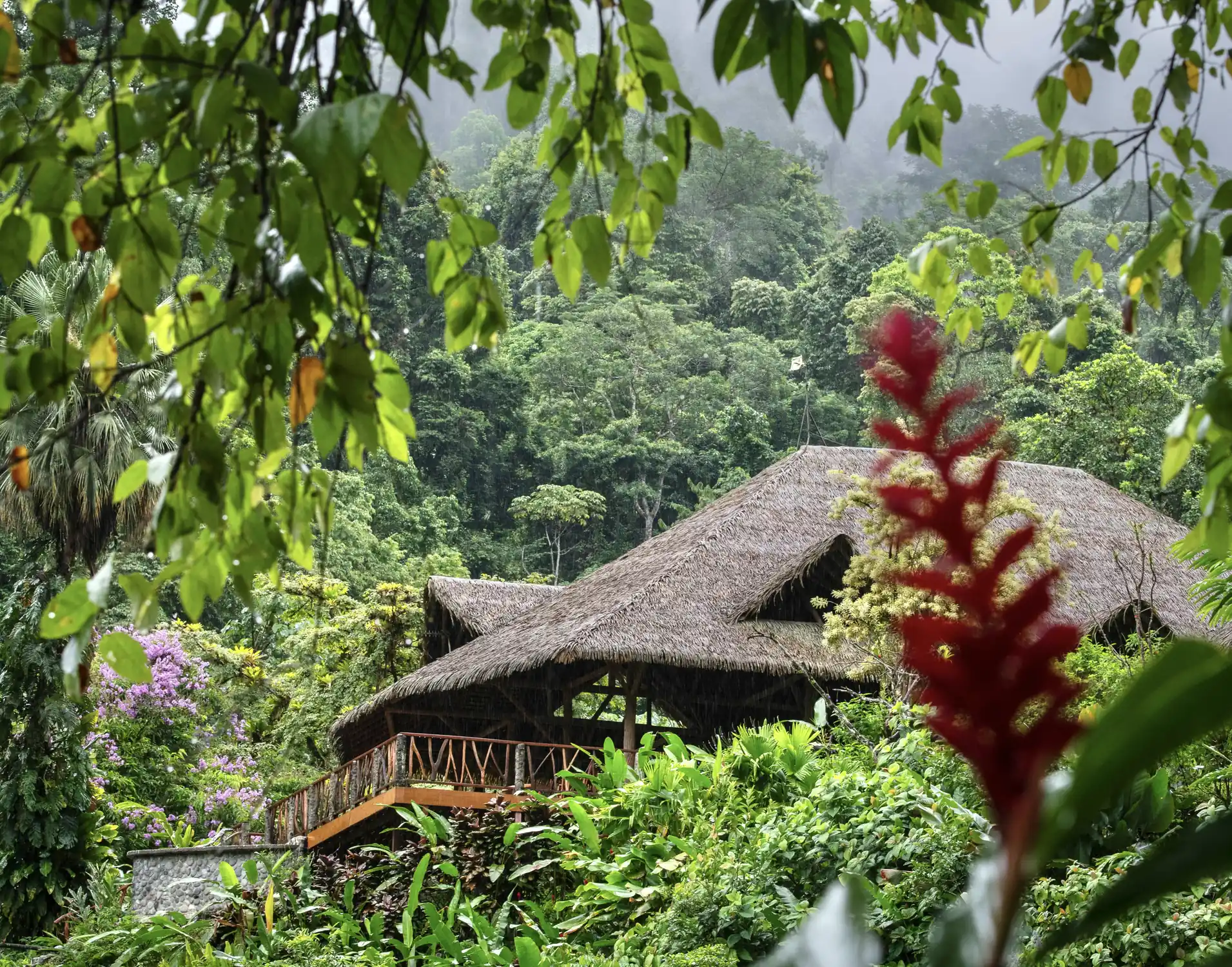 The Main Lodge seen through heliconia flowers