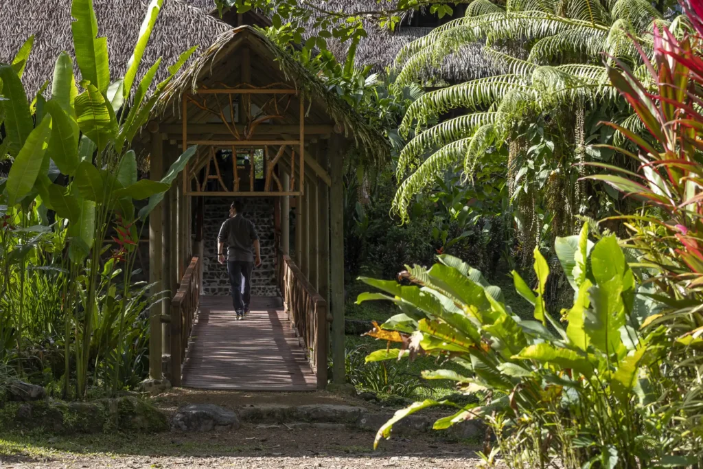 Wooden bridge into the rainforest gardens