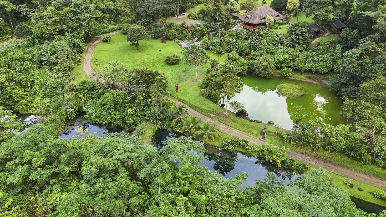Aerial view of the forest and ponds