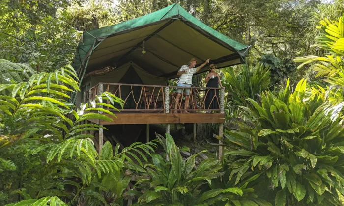 Luxury Safari Tents