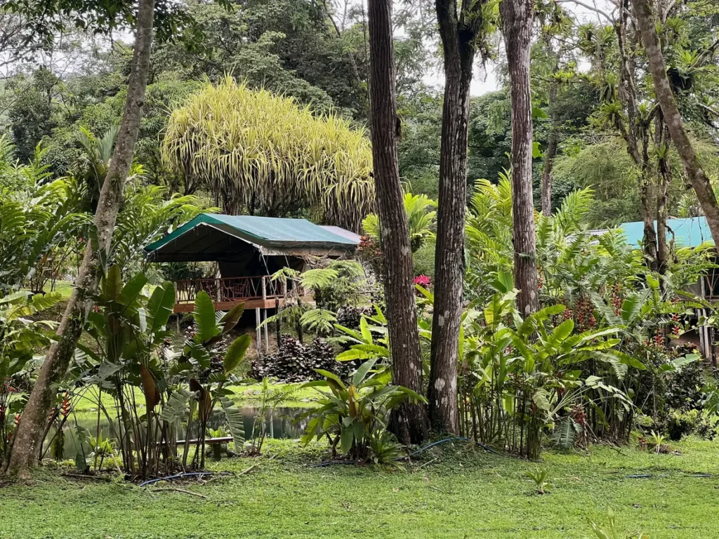 Safari tents among the gardens