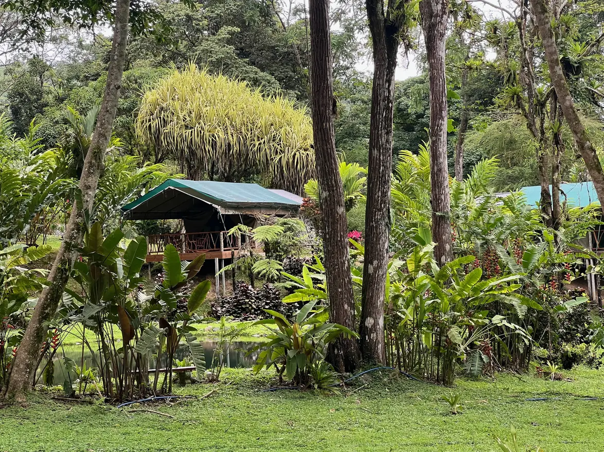 Safari tents among the gardens