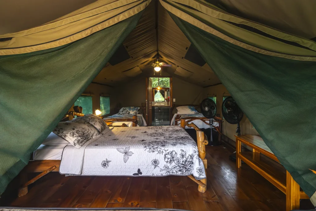 Inside a safari tent: real bed and canvas walls