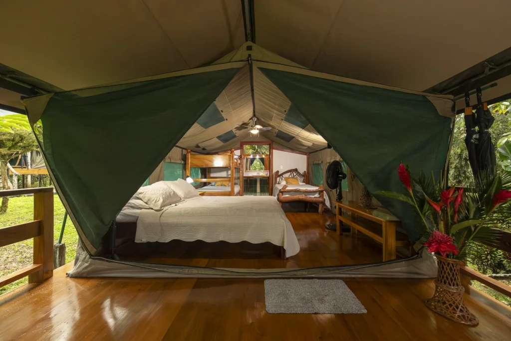 Safari tent bedroom open to the forest
